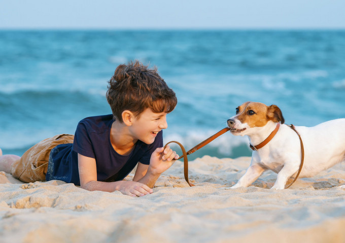 media.Hotel_Ariston_Misano-Petfriendly